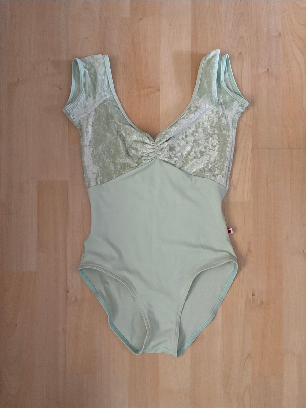 Women's Light Green Velvet-Elie Leotard Bodysuit Size L